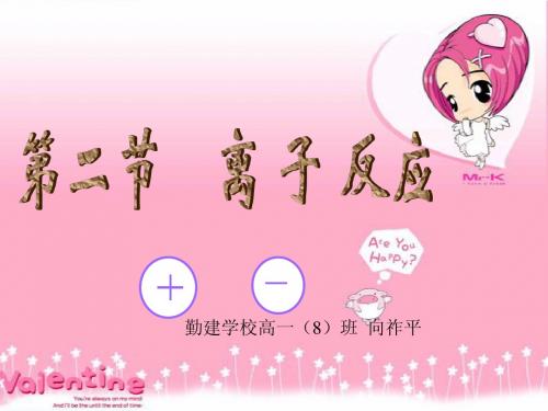 离子反应正误、离子共存公开课