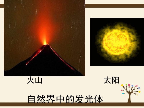 八年级物理全册 4.1 光的反射课件 (新版)沪科版