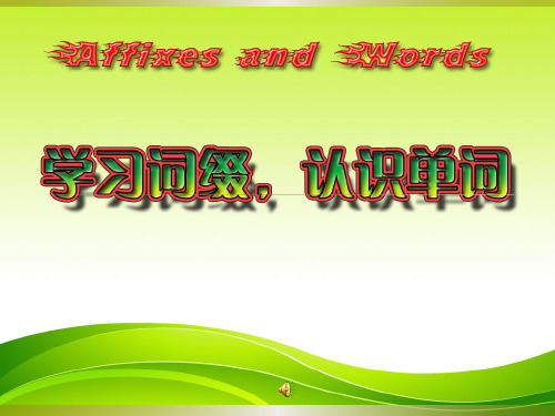 高中英语 学习词缀,认识单词 课件(共45张ppt)
