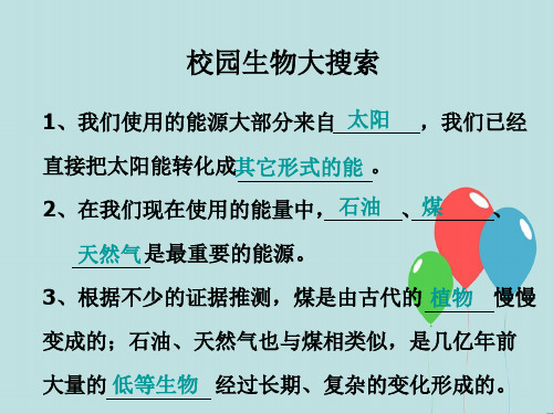 教科小学科学六上《4.1、校园生物大搜索》PPT课件(3)[精选]
