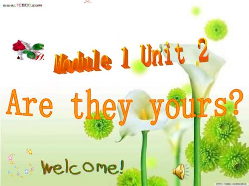 讲课课件  M1-U2   Are they yours