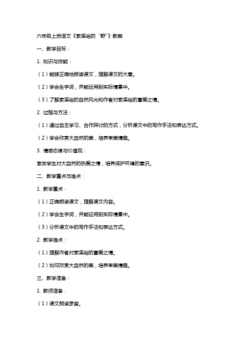 六年级上册语文《索溪峪的“野”》教案