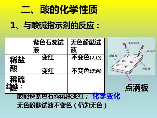 酸的化学性质课件