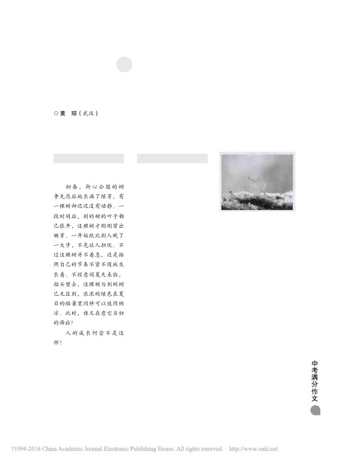 2015年湖北省武汉市中考作文题解与例析_黄琼