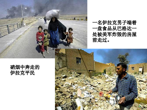 高一语文我的呼吁3(新编201911)