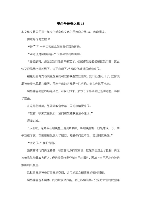 初中初一作文想象作文：赛尔号传奇之旅18