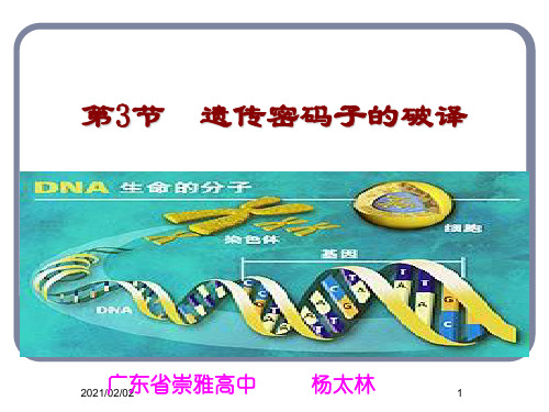 遗传密码子的破译优质课件PPT