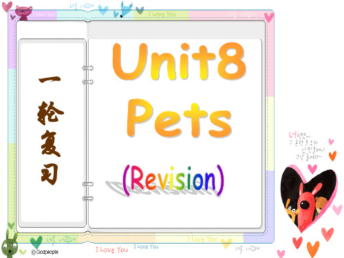 新牛津译林版七年级英语下册Unit8 Pets 课件(共16张PPT)