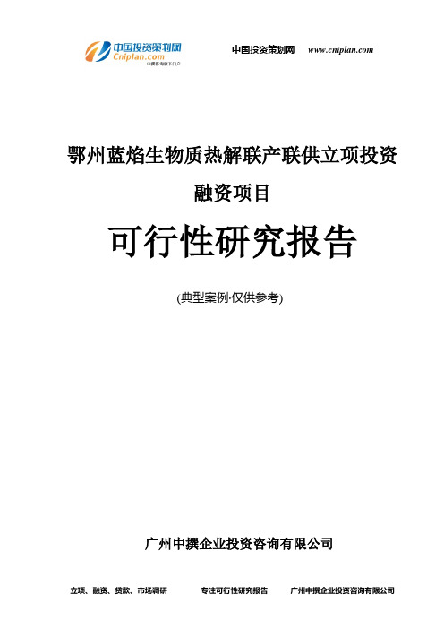 鄂州蓝焰生物质热解联产联供融资投资立项项目可行性研究报告(非常详细)