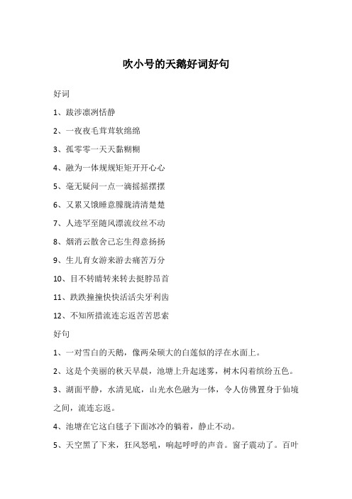 吹小号的天鹅好词好句