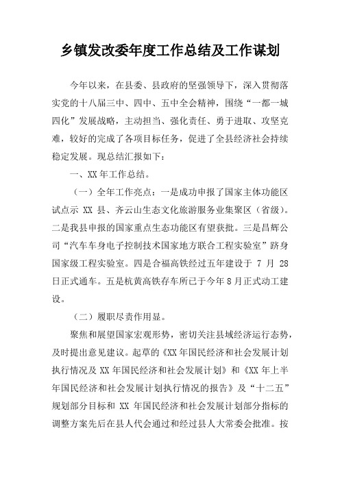 乡镇发改委年度工作总结及工作谋划