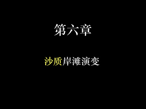 第6章 沙质岸滩演变(2版)