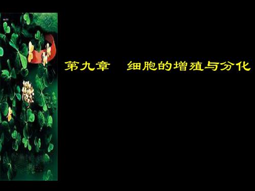 细胞生物学 第九章 细胞增殖与分化