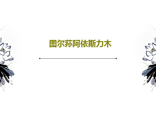 图尔荪阿依斯力木共26页