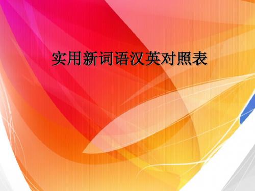 实用经济政治文化翻译词汇2
