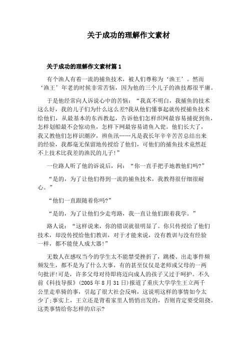 关于成功的理解作文素材