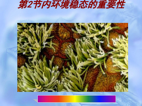 《内环境稳态的重要性》PPT课件 人教课标版