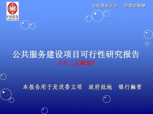公共服务建设项目可行性研究报告