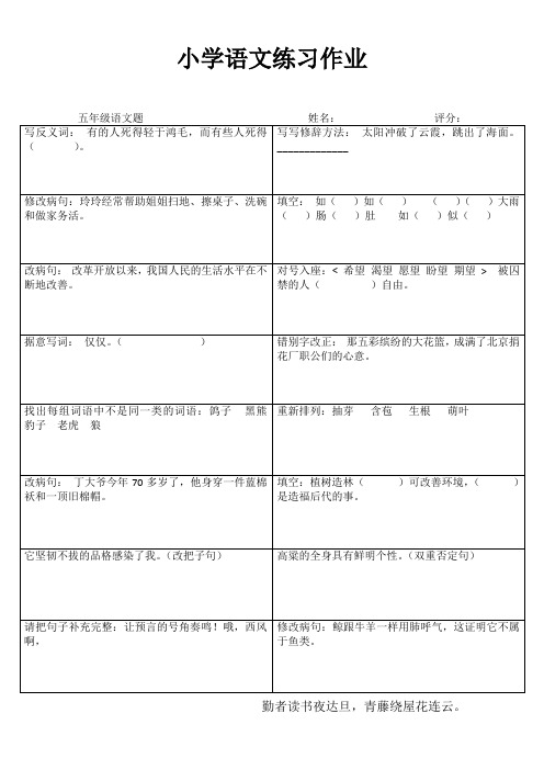 快乐语文随堂练 (100)