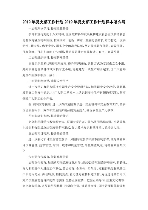 最新-2019年党支部工作计划 2019年党支部工作计划样本
