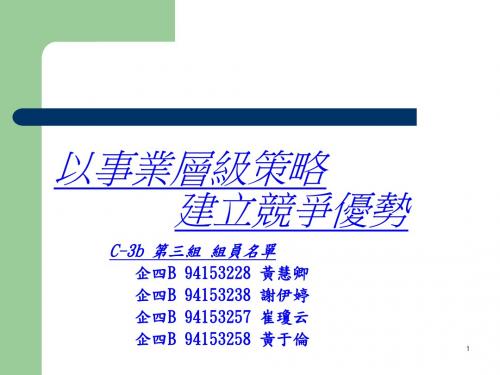 事业层级策略