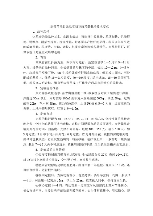 高效节能日光温室切花康乃馨栽培技术要点1