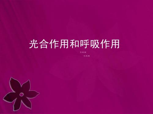 [名校联盟]海南省文昌中学高一生物：光合作用和呼吸作用+课件
