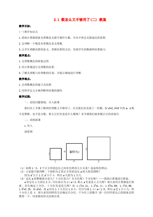 北师大版八年级数学上册2.1数怎么又不够用了教案2