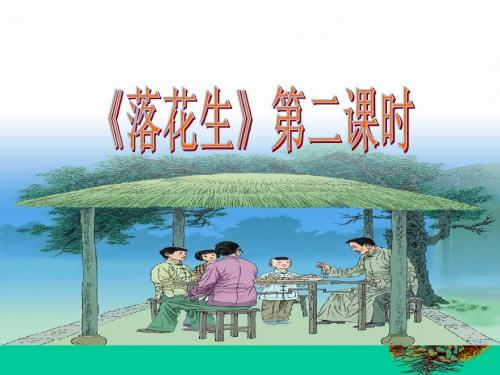 《落花生》课件(第二课时)