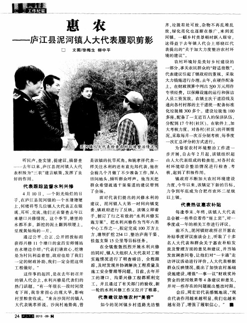 惠农——庐江县泥河镇人大代表履职剪影