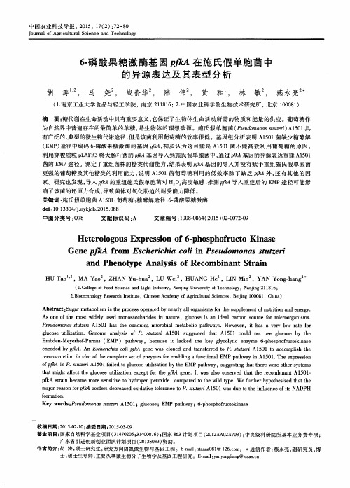6-磷酸果糖激酶基因pfkA在施氏假单胞菌中的异源表达及其表型分析