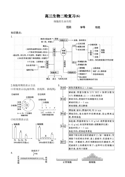 细胞的生命历程