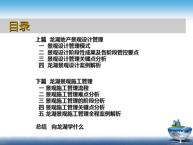 龙湖景观设计管理与景观施工管理(70)页