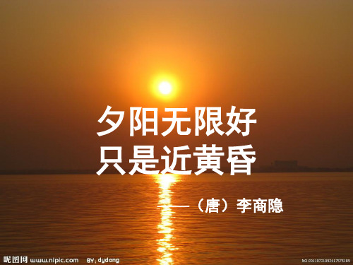 2020-2021学年岳麓版必修2 第6课 近代前夜的发展与迟滞 课件(18张)