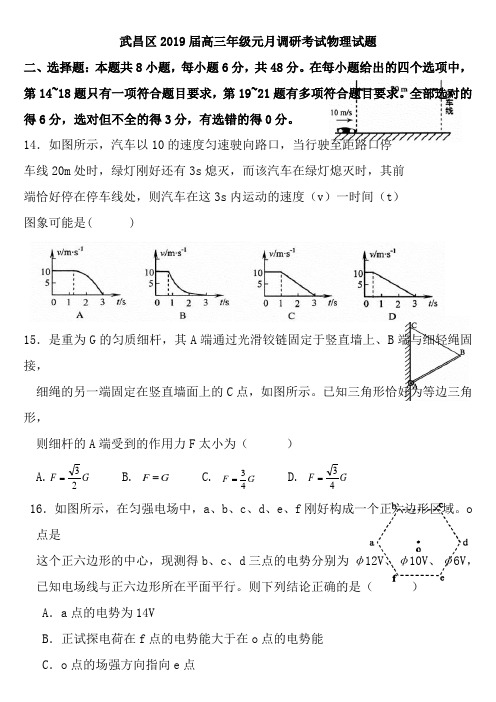 湖北省武昌区2019届高三年级元月调研考试物理试题及答案(Wrod版)