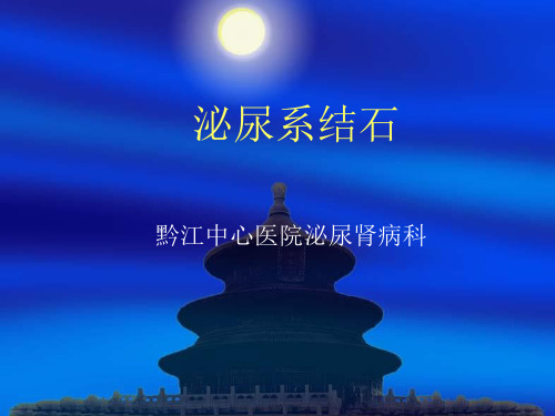 泌尿系结石小讲座