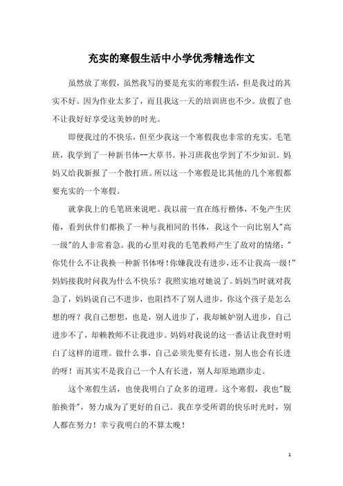 充实的寒假生活中小学优秀精选作文