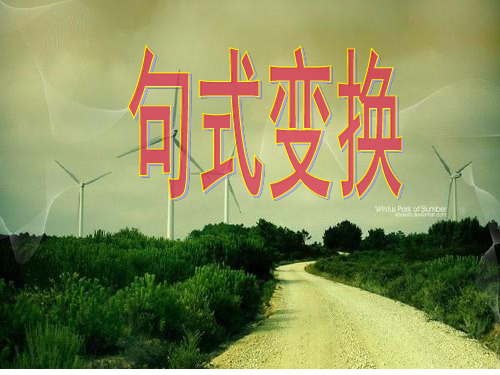六年级下册语文练习扩展PPT课件-句式变换-人教部编版(共24页)
