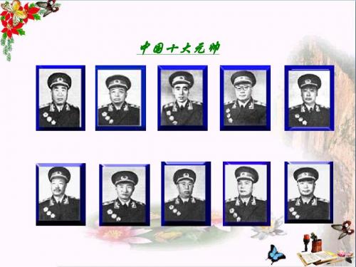国民革命运动ppt2 川教版