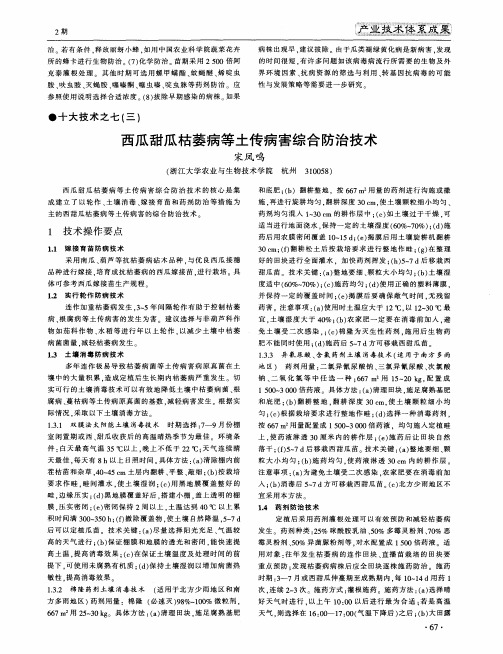 西瓜甜瓜枯萎病等土传病害综合防治技术