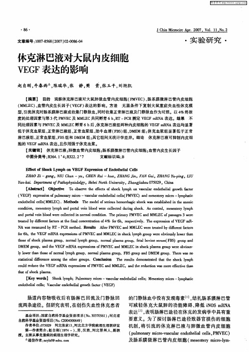 休克淋巴液对大鼠内皮细胞VEGF表达的影响