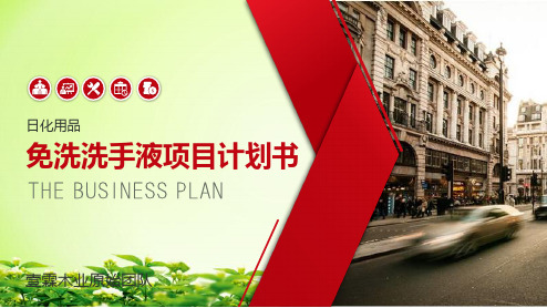 免洗洗手液项目计划书,创业计划书