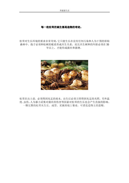 松茸