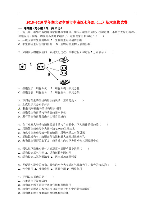 湖北省孝感市孝南区七年级生物上学期期末试卷(含解析) 新人教版