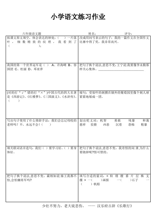 六年级语文基础训练1000题(32)