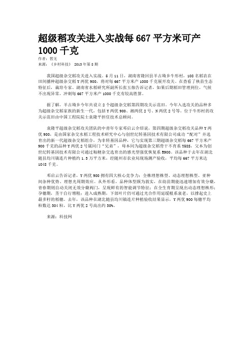 超级稻攻关进入实战每667平方米可产1000千克
