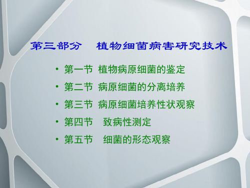 植病研究法细菌病害的研究法