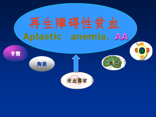 《再生障碍性贫血》PPT课件