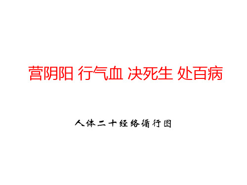 人体经络循行图PPT课件