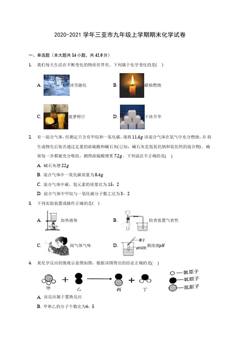 2020-2021学年三亚市九年级上学期期末化学试卷(含答案详解)